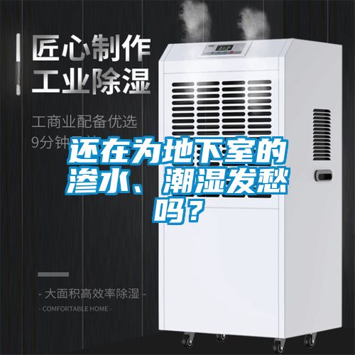還在為地下室的滲水、潮濕發愁嗎？