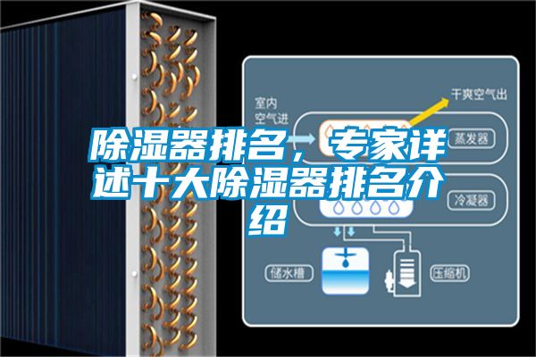 91看片在线下载器排名，專家詳述十大91看片在线下载器排名介紹