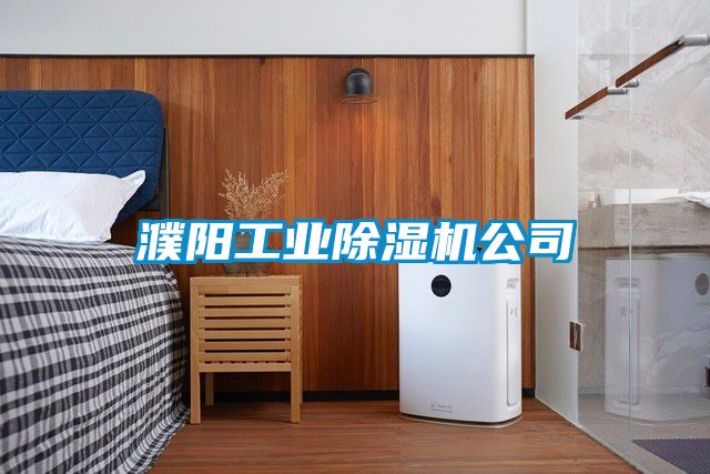 濮陽工業91看片在线下载機公司