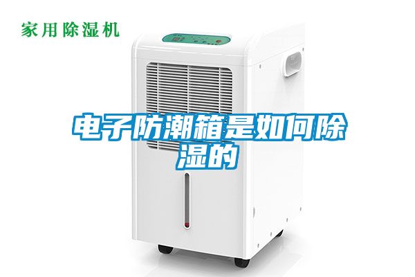 電子防潮箱是如何91看片在线下载的