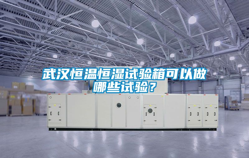 武漢恒溫恒濕試驗箱可以做哪些試驗？