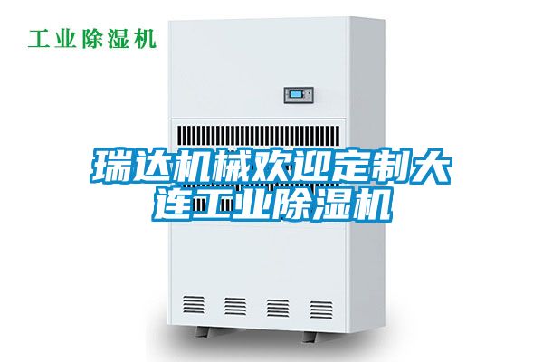 瑞達機械歡迎定製大連工業91看片在线下载機