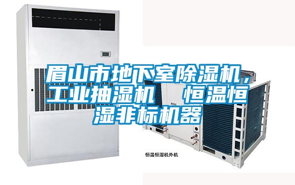 眉山市地下室91看片在线下载機，工業抽濕機  恒溫恒濕非標機器