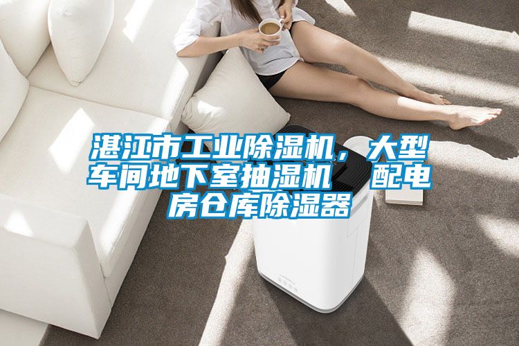 湛江市工業91看片在线下载機，大型車間地下室抽濕機  配電房倉庫91看片在线下载器