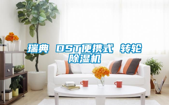 瑞典 DST便攜式 轉輪91看片在线下载機