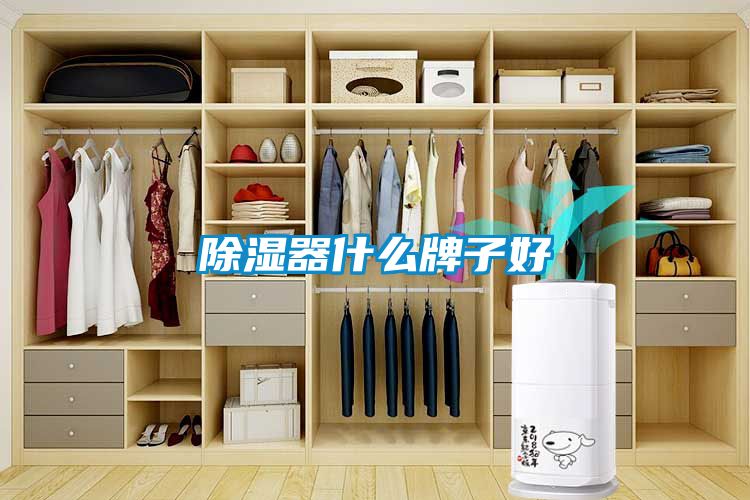 91看片在线下载器什麽牌子好