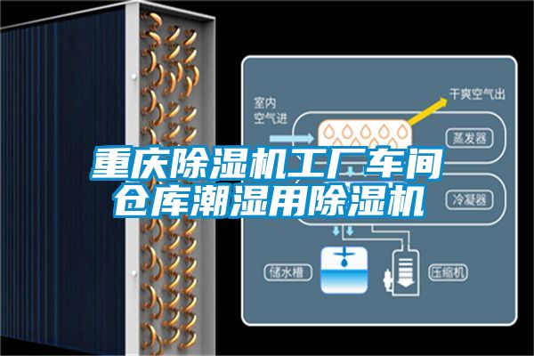 重慶91看片在线下载機工廠車間倉庫潮濕用91看片在线下载機