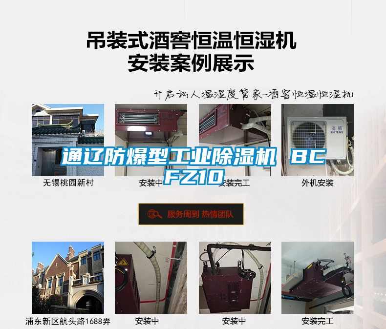 通遼防爆型工業91看片在线下载機 BCFZ10