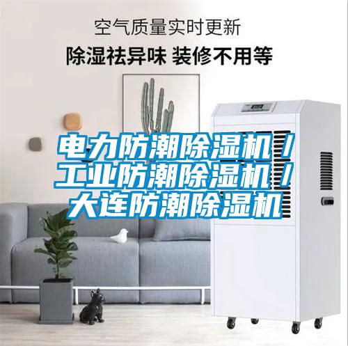 電力防潮91看片在线下载機／工業防潮91看片在线下载機／大連防潮91看片在线下载機