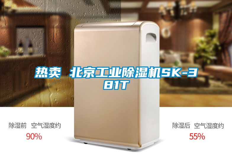 熱賣 北京工業91看片在线下载機SK-381T