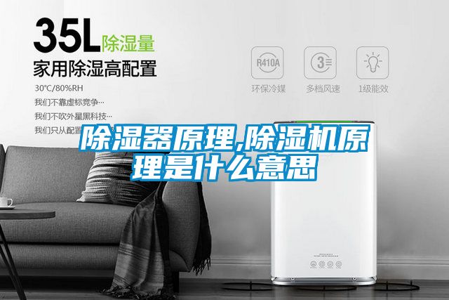 91看片在线下载器原理,91看片在线下载機原理是什麽意思