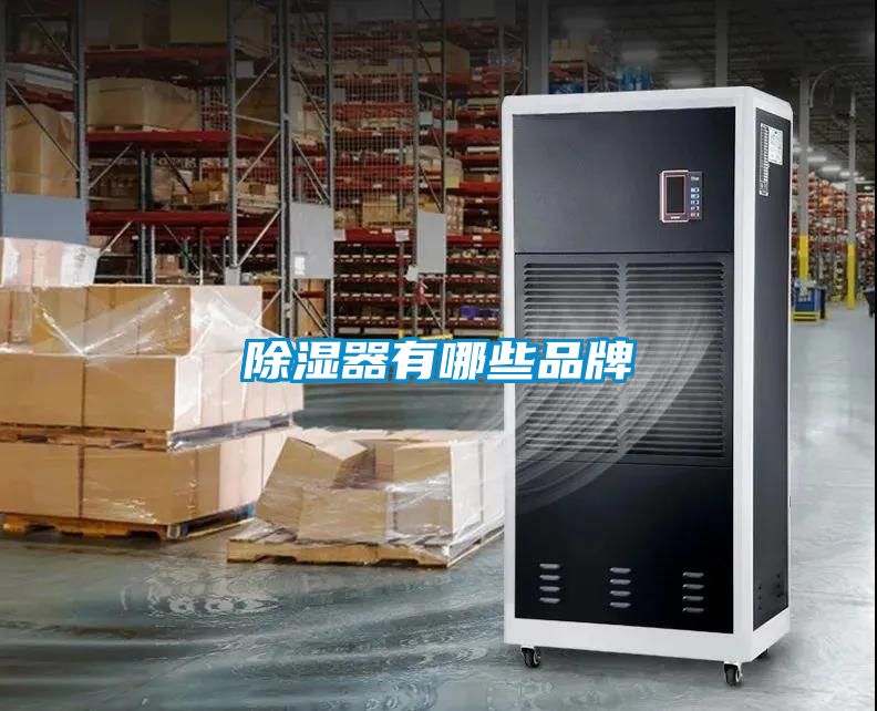 91看片在线下载器有哪些品牌