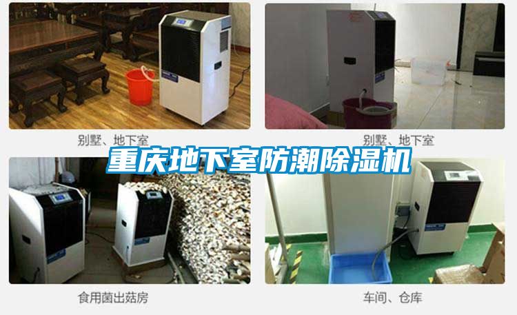 重慶地下室防潮91看片在线下载機