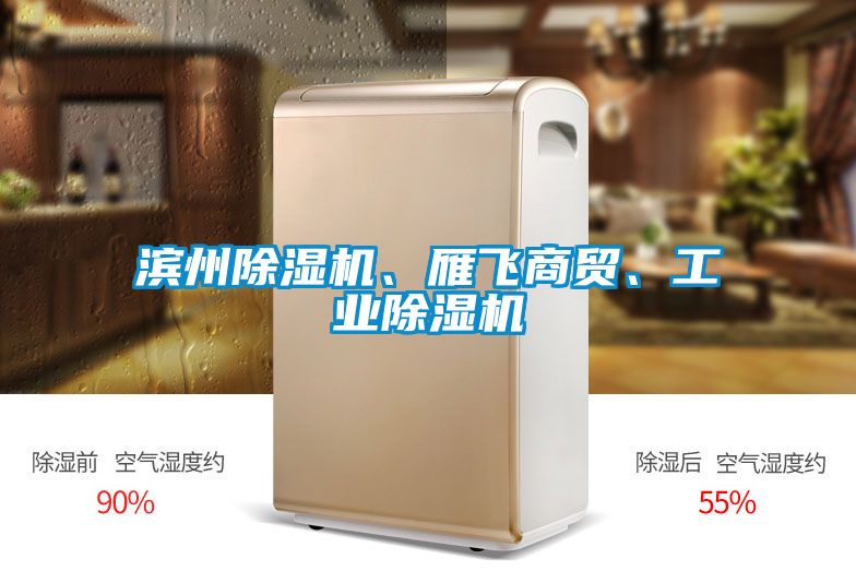 濱州91看片在线下载機、雁飛商貿、工業91看片在线下载機