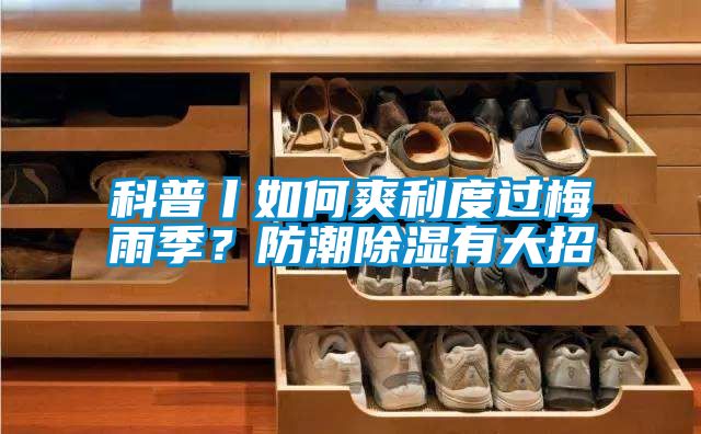 科普丨如何爽利度過梅雨季？防潮91看片在线下载有大招
