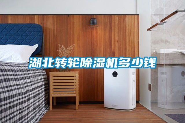 湖北轉輪91看片在线下载機多少錢