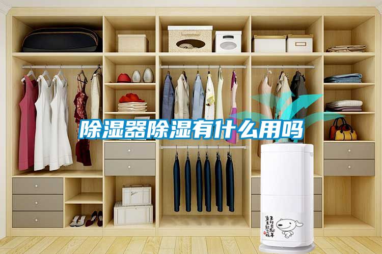 91看片在线下载器91看片在线下载有什麽用嗎