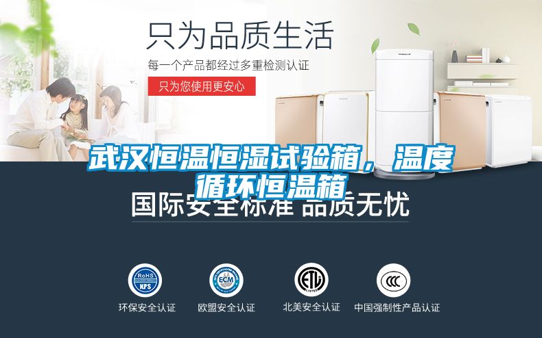 武漢恒溫恒濕試驗箱，溫度循環恒溫箱