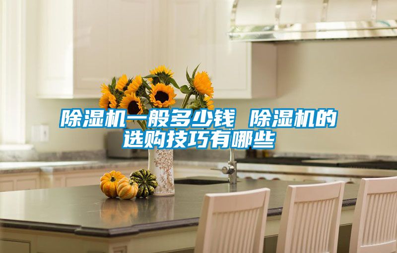 91看片在线下载機一般多少錢 91看片在线下载機的選購技巧有哪些