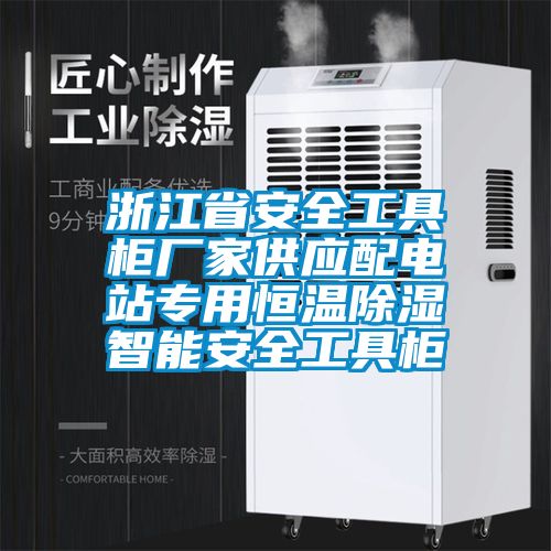浙江省安全工具櫃廠家供應配電站專用恒溫91看片在线下载智能安全工具櫃