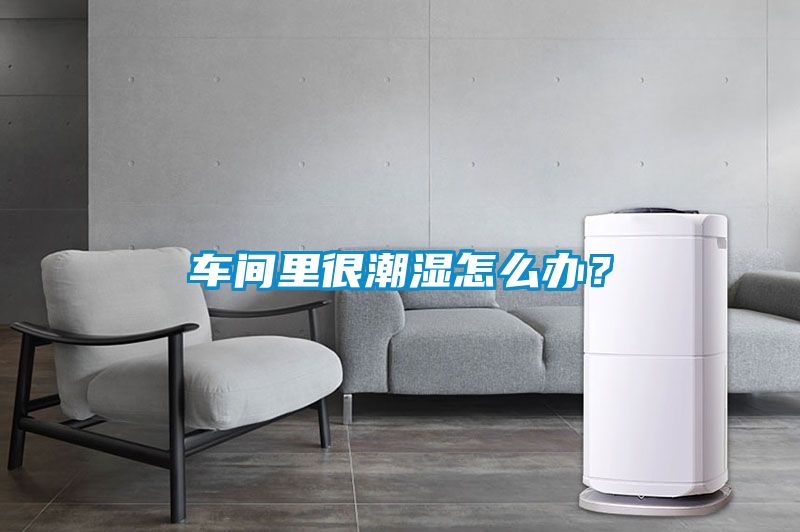 車間裏很潮濕怎麽辦？
