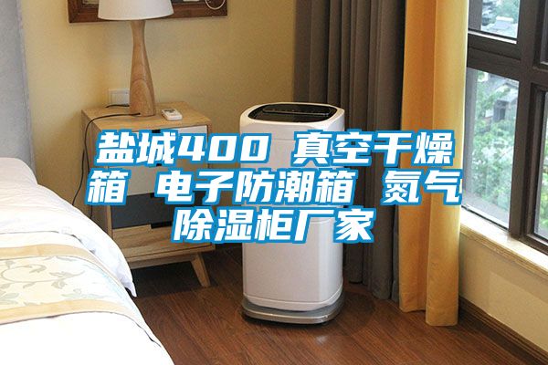 鹽城400℃真空幹燥箱 電子防潮箱 氮氣91看片在线下载櫃廠家
