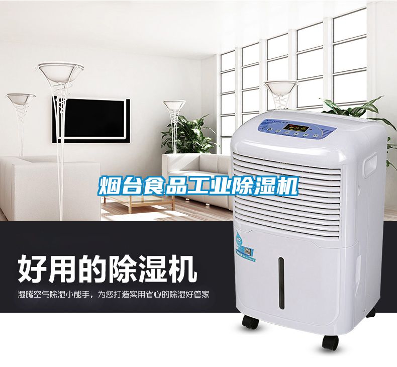 煙台食品工業91看片在线下载機