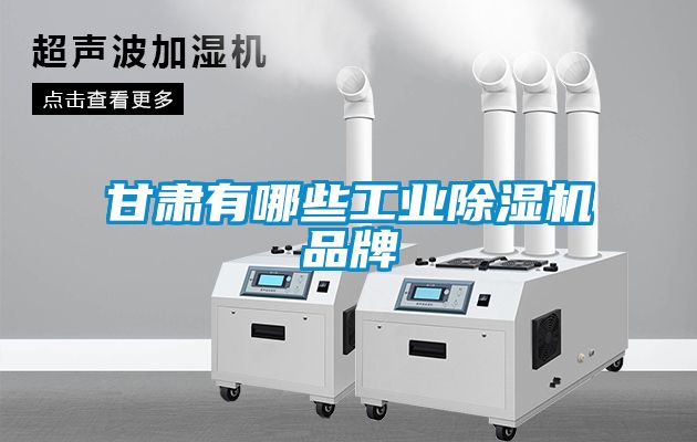 甘肅有哪些工業91看片在线下载機品牌