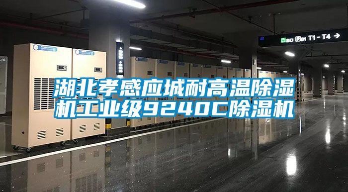 湖北孝感應城耐高溫91看片在线下载機工業級9240C91看片在线下载機