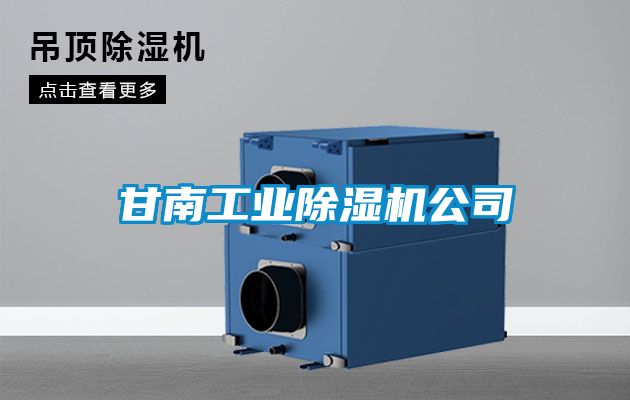 甘南工業91看片在线下载機公司