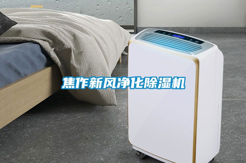焦作新風淨化91看片在线下载機