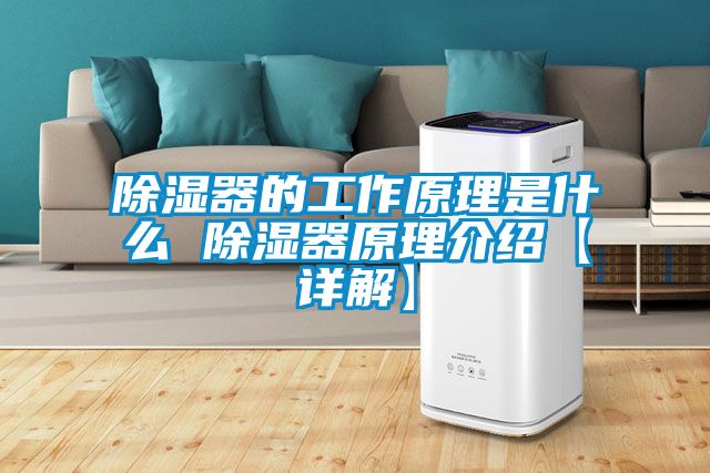 91看片在线下载器的工作原理是什麽 91看片在线下载器原理介紹【詳解】