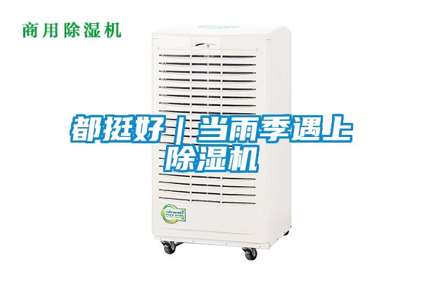 都挺好｜當雨季遇上91看片在线下载機