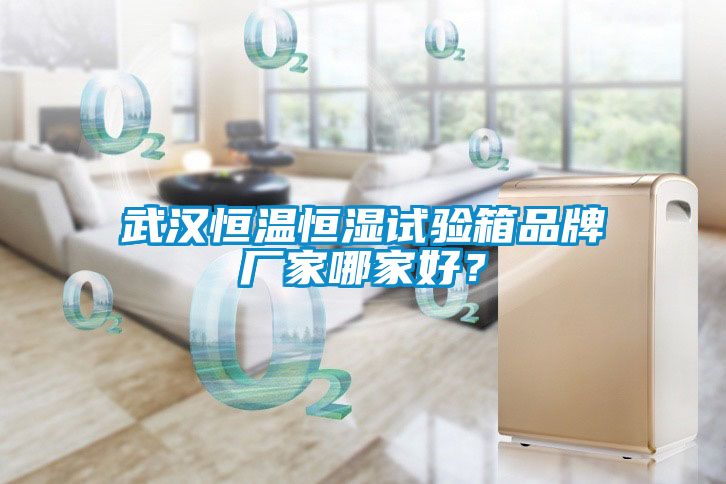 武漢恒溫恒濕試驗箱品牌廠家哪家好？