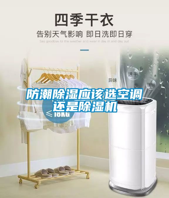 防潮91看片在线下载應該選空調還是91看片在线下载機