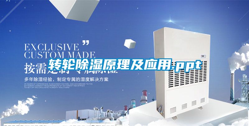 轉輪91看片在线下载原理及應用.ppt