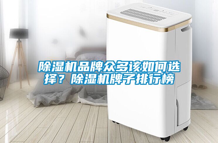 91看片在线下载機品牌眾多該如何選擇？91看片在线下载機牌子排行榜