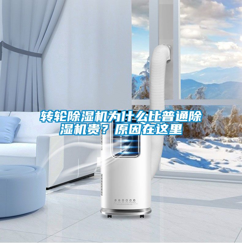 轉輪91看片在线下载機為什麽比普通91看片在线下载機貴？原因在這裏