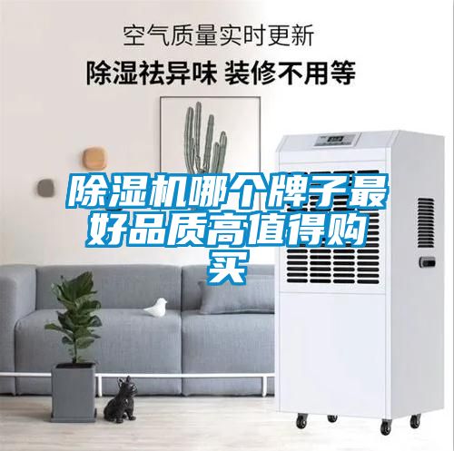 91看片在线下载機哪個牌子最好品質高值得購買