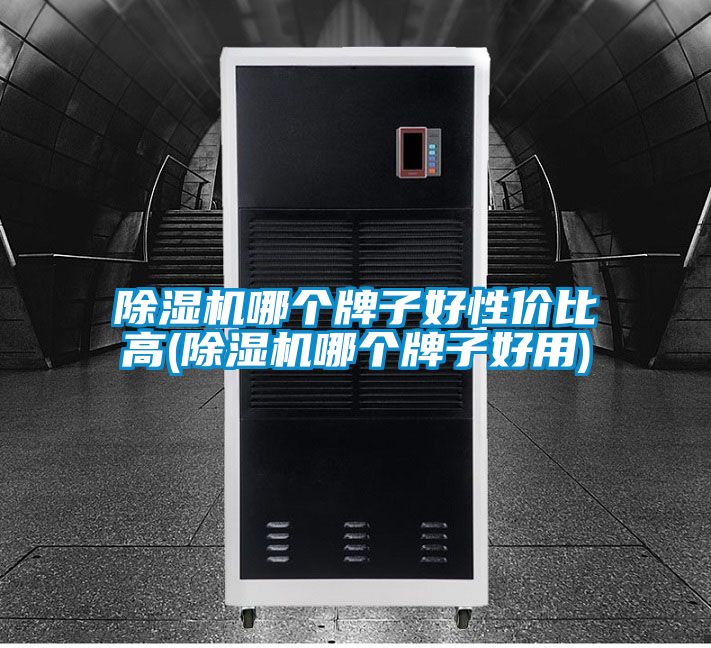 91看片在线下载機哪個牌子好性價比高(91看片在线下载機哪個牌子好用)
