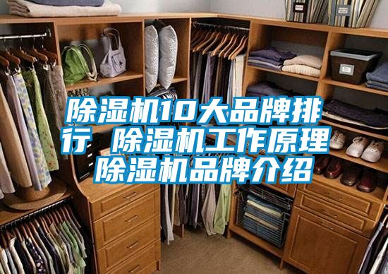 91看片在线下载機10大品牌排行 91看片在线下载機工作原理 91看片在线下载機品牌介紹