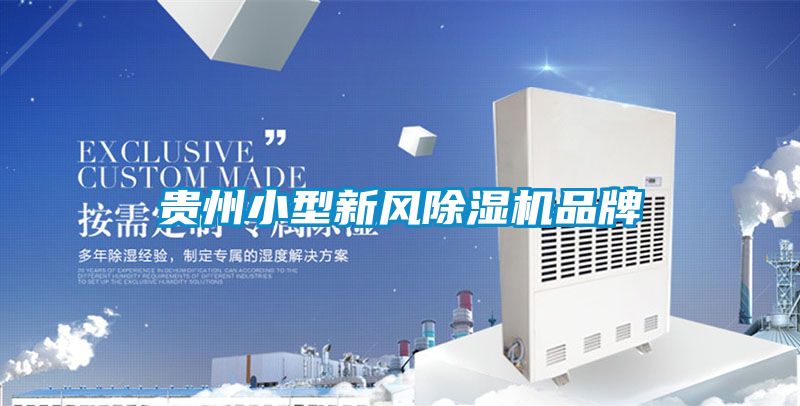 貴州小型新風91看片在线下载機品牌