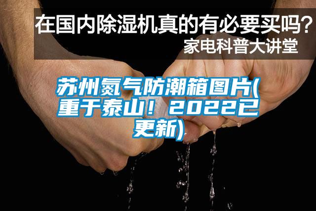 蘇州氮氣防潮箱圖片(重於泰山！2022已更新)