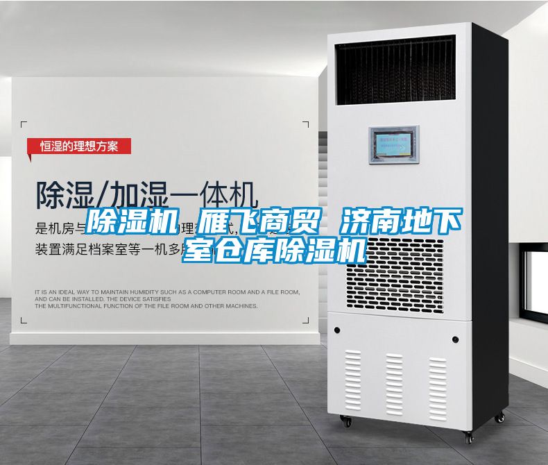 91看片在线下载機 雁飛商貿 濟南地下室倉庫91看片在线下载機