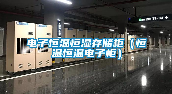 電子恒溫恒濕存儲櫃（恒溫恒濕電子櫃）