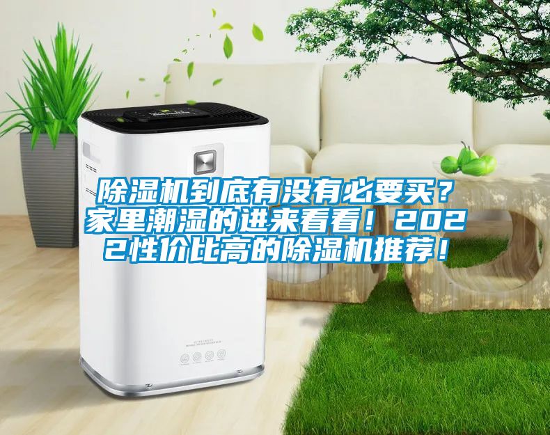 91看片在线下载機到底有沒有必要買？家裏潮濕的進來看看！2022性價比高的91看片在线下载機推薦！