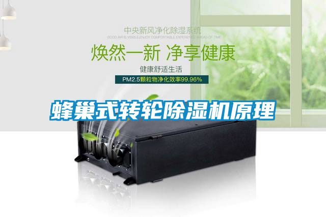 蜂巢式轉輪91看片在线下载機原理
