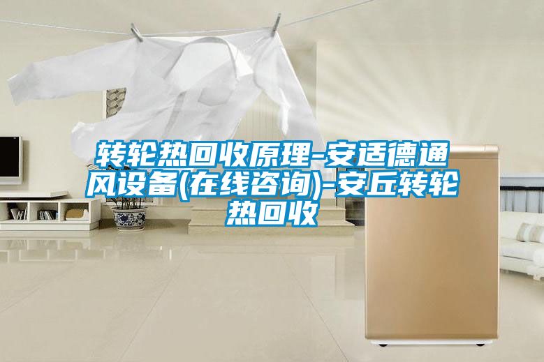 轉輪熱回收原理-安適德通風設備(在線谘詢)-安丘轉輪熱回收