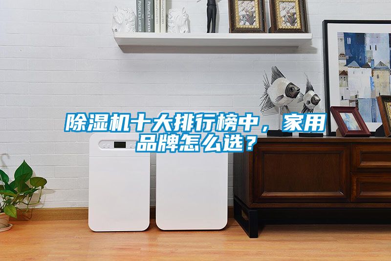 91看片在线下载機十大排行榜中，家用品牌怎麽選？
