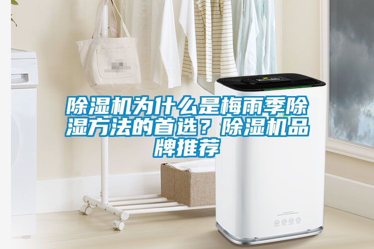 91看片在线下载機為什麽是梅雨季91看片在线下载方法的首選？91看片在线下载機品牌推薦